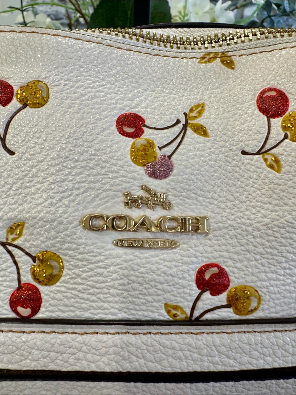 🍒COACH City Tote in Glitter Cherry Print Pebbled Leather (Style 27502) - Picture 5 of 16